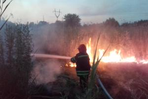 Под Северодонецком тушили пожар, который грозил перекинуться на расположенные рядом дома