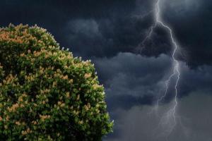 В Луганской области из-за непогоды остались без света более 5 тысяч потребителей