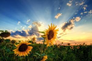 В Украине впервые отмечают День памяти погибших защитников