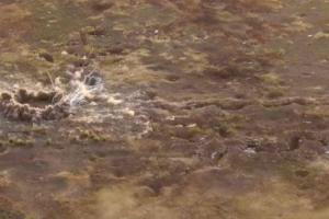 ВСУ нанесли сокрушительный удар по позициям боевиков на Донбассе: впечатляющее видео