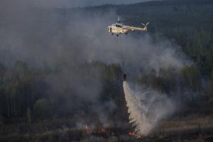 Лесной пожар в Чернобыльской зоне: авиация ГСЧС сбросила 114 тонн воды
