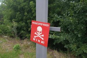На 5 месте: Украина попала в рейтинг стран с самым высоким количеством жертв и пострадавших от мин