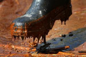 "Лисичанск скоро весь в г**не потонет": Квартиры лисичан утопают в фекалиях