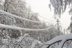 В Украине из-за непогоды обесточены 600 населенных пунктов