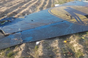 100 дней с момента авиакатастрофы рейса PS752 в Иране: пять стран опубликовали общее заявление