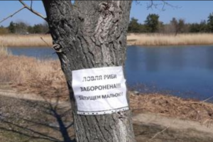 В Северодонецке введен запрет на вылов рыбы в озере Парковое