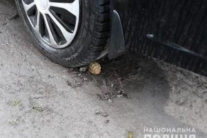 На Луганщине задержан мужчина, который пытался взорвать автомобиль