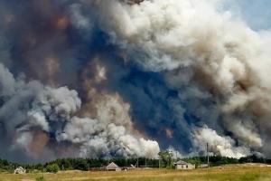 Кількість жертв лісової пожежі на Луганщині зросла: в лікарні від опіків померла ще одна людина