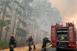 Полиция рассматривает три версии возникновения лесных пожаров на Луганщине