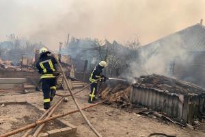 На Луганщині триває ліквідація смертоносної лісової пожежі та її наслідків