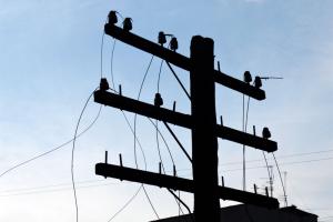 Из-за непогоды на Луганщине без света остались более десятка населенных пунктов