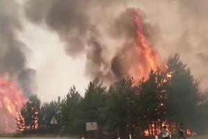 Пожар на Луганщине предварительно переквалифицировали в ЧС государственного уровня