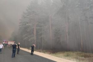На Луганщине третьи сутки продолжается борьба с лесными пожарами: оперативная информация ГСЧС