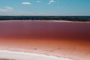 "Снежные" берега и розовая вода: Знаменитый лиман под Одессой перекрасился в необычный цвет