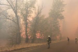 Эвакуация людей, спецавиация, нехватка воды и возможные поджоги: Гайдай о пожарах на Луганщине