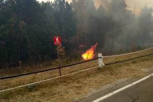 На Луганщині через пожежу закрили КПВВ "Станиця Луганська" ​​​​​​