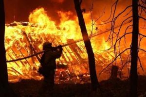 4 день борьбы с огнем: На Луганщине продолжается тушение 7 основных очагов (оперативная информация)