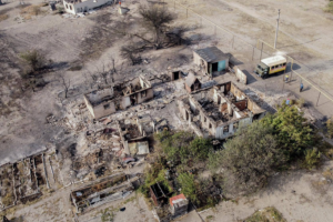 Масштабні пожежі на Луганщині: поліція встановила 4 ймовірних джерела загоряння