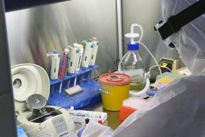 В Україні понад 5 тисяч нових випадків COVID-19: дані по регіонах