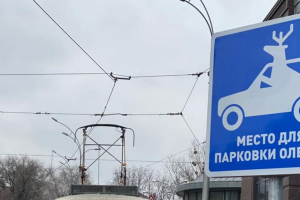 У Харкові з'явилася "парковка для оленів"