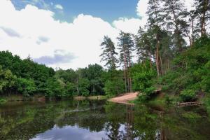 Диво природи та "діамант у намисті Кремінщини": Чим славиться та приваблює найзеленіший край Луганщини