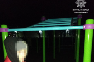 У Сєвєродонецьку копи "застукали" підлітків, які намагалися розібрати турнік на новому спортмайданчику