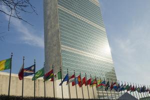 Генассамблея ООН лишила права голоса еще 8 стран из-за неуплаты взносов