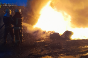 У Лисичанську поблизу колишнього содового заводу сталася пожежа