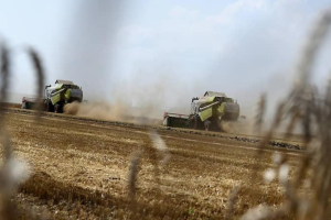 В Украине посевная кампания началась во всех областях, кроме Луганской