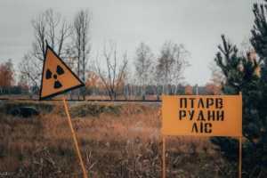 "Эти "герои" заберут премии Дарвина": Российские оккупанты, стоявшие в Рыжем лесу, получили лучевую болезнь