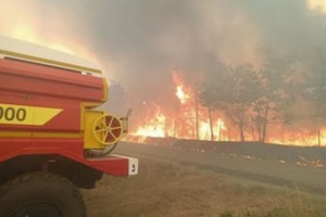 Во Франции бушуют лесные пожары