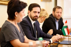 Венгрия не возражает против транзита западного оружия в Украину через свою территорию