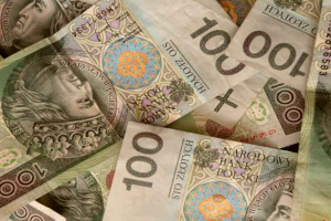 У Польщі з 10 вересня припиняють приймати українські гривні для обміну на злоті