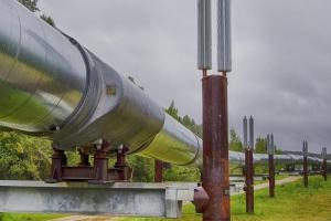 На польском участке нефтепровода "Дружба" произошла утечка