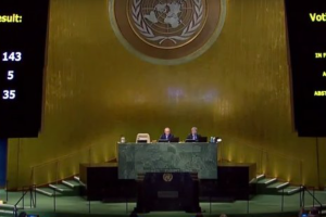 Генасамблея ООН ухвалила резолюцію щодо дотримання територіальної цілісності України