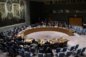 Рада безпеки ООН відхилила резолюцію РФ про "біолабораторії" в Україні
