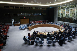 Рада безпеки ООН 6 грудня проведе засідання щодо гуманітарної ситуації в Україні
