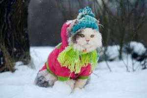 Оголошено "жовтий" рівень небезпеки: В Україні очікується сильний вітер