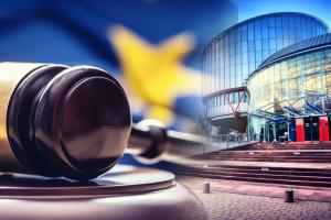 ЄСПЛ виніс своє рішення у справі "Україна та Нідерланди проти РФ"