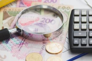 В Украине могут отменить проверки ВПЛ, из-за которых переселенцев лишают выплат