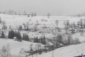 Хуртовини та сильний вітер: В одному з регіонів України випав сніг (відео)