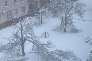 "Добро пожаловать в Средневековье": На Луганщине люди вынуждены топить снег, чтобы помыться и попить