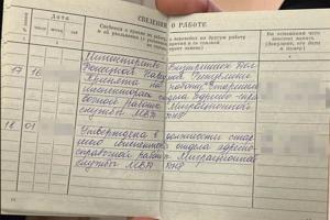 Жила в Киеве под видом ВПЛ и планировала выехать из страны: задержана "чиновница МВД ДНР"