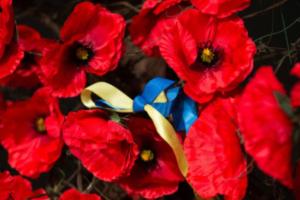 В Україні відзначають День пам'яті та примирення