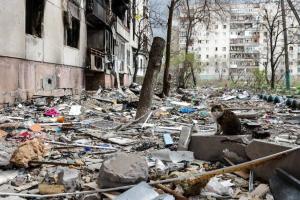 Навколо окупованого Сєвєродонецька розростається сміттєзвалище - свіже відео