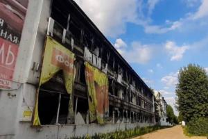 "Понаїхали тут": Окуповане Рубіжне заполонили щури та непрохані гості з РФ