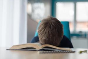 На окупованій Луганщині школярам та вчителям  доведеться освоювати дистанційне навчання без Інтернету