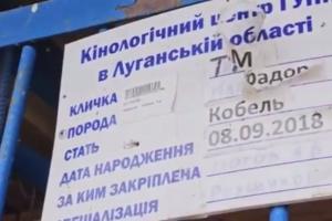 Российская пропаганда выдала очередной фейк о Северодонецке