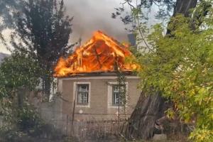 Пожежі на окупованій Луганщині: вогонь перекинувся на будинки у Лопаскине, поряд з селом - соснові ліси