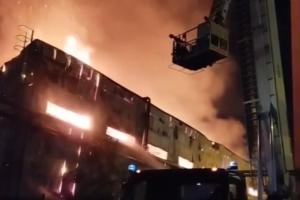 В российском Подмосковье очередной масштабный пожар: что горит